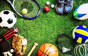 СПОРТТЫҚ ШЕБЕРЛІК – КӘСІБИ ДАМУДЫҢ БІР КӨРІНІСІ